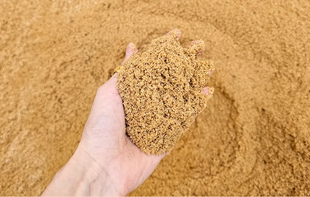 손에 올린 고운 효소 매질